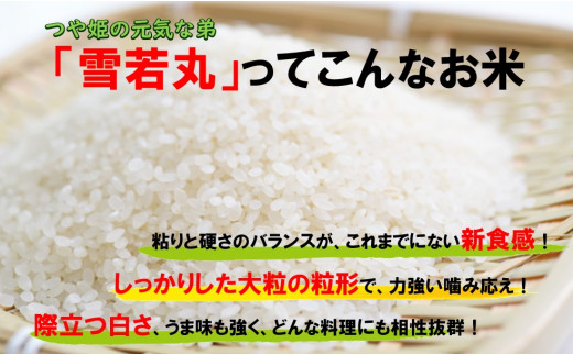 山形県の新ブランド米である雪若丸は、平成30年に本格デビューしました。