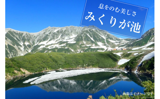 立山黒部アルペンルート ( 立山駅 ～ 室堂駅 ※往復 ) 優待券 / 立山黒部貫光 / 富山県 立山町 [55590335] 観光 旅行 券  チケット 体験 トラベル 黒部