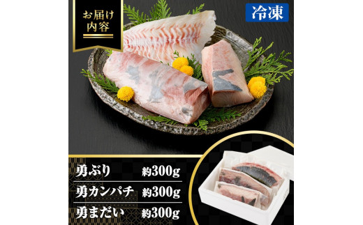 お刺身豪華3点セット(約900g)【勇進水産】yushin-969