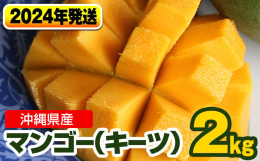 【2024年発送】南国の果物　沖縄県産マンゴー　キーツ　2kg