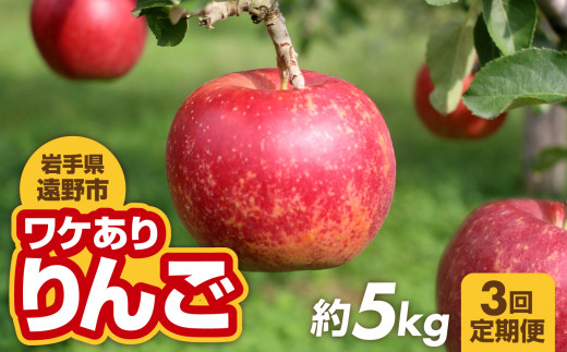 9月30日まで 受付終了【3回定期便】ワケありりんご（約5kg）10-12月