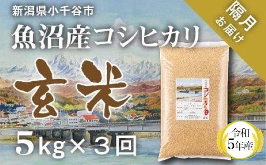 魚沼コシヒカリ　お米定期便