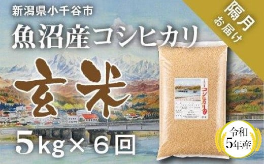 魚沼コシヒカリ　お米定期便