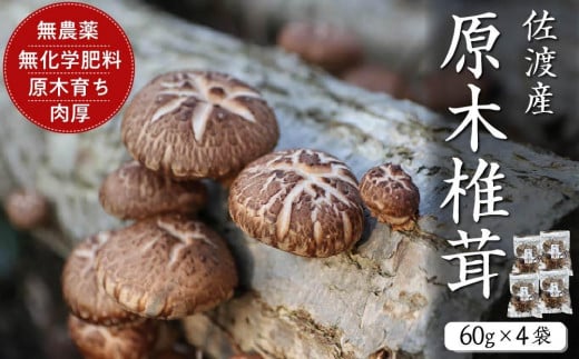 佐渡発酵　佐渡産原木椎茸60g×4 830835 - 新潟県佐渡市