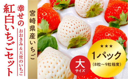 期間・数量限定 宮崎県産 イチゴ 幸せの紅白いちごセット おおきみ&天使のいちご 大サイズ1パック(8粒～9粒程度)_M260-009