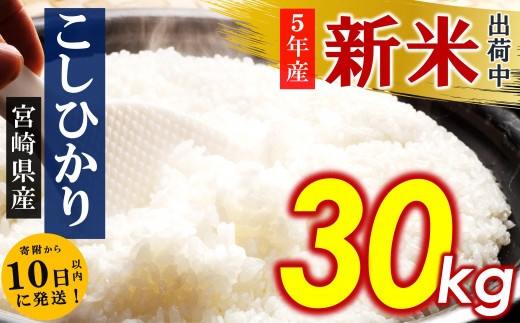 令和5年産 新米 こしひかり 30kg （ 白米 ） 宮崎県産 | 人気 銘柄米