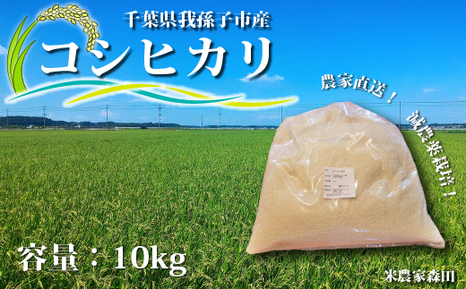 冷めても美味しい】千葉県産 減農薬コシヒカリ 5kg & 米粉 選べる 精米