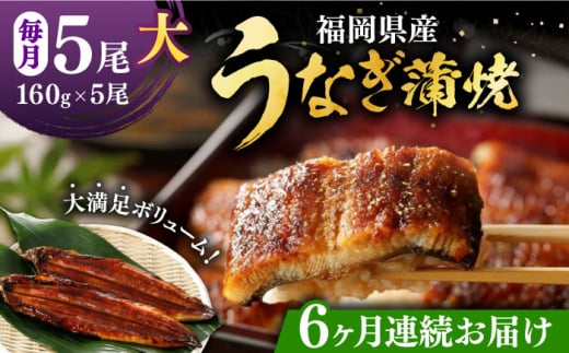 【全6回定期便】福岡県産 うなぎ 蒲焼 大5尾　合計 800 g（1尾あたり 160g以上）《豊前市》【福岡養鰻】 国産 うなぎ 大 [VAD018] 1055526 - 福岡県豊前市