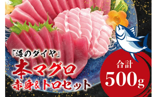 本マグロ（養殖）トロ＆赤身セット 500g 【4月発送】 高級 クロマグロ  中トロ 中とろ まぐろ マグロ 鮪 刺身 赤身 柵 じゃばらまぐろ 本マグロ 本鮪【nks110_cp-4】 1526132 - 和歌山県すさみ町