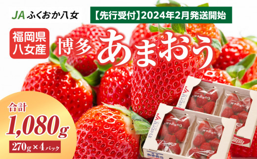 福岡県八女市のふるさと納税 お礼の品ランキング【ふるさとチョイス】