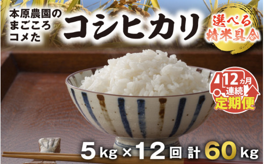 福井県産こしひかり 玄米 30Kg 新米（R4年産）農家直送 - 米/穀物