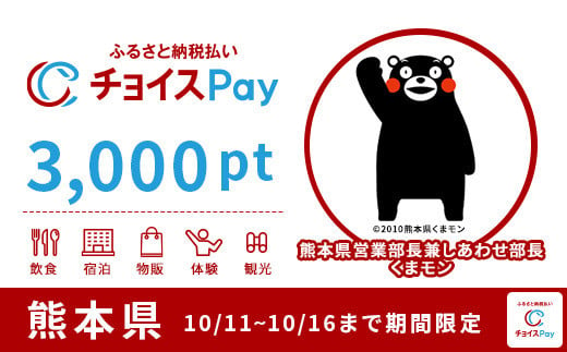 熊本県チョイスPay 3,000pt（1pt＝1円）