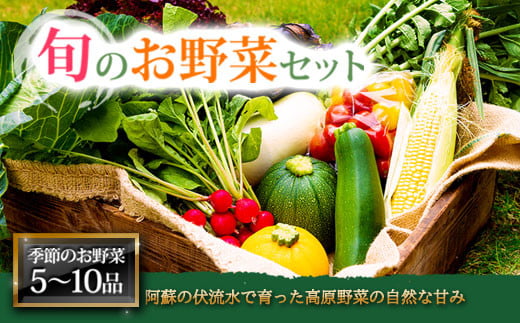 ＜畑から直送＞季節のお野菜セット 832055 - 熊本県阿蘇市
