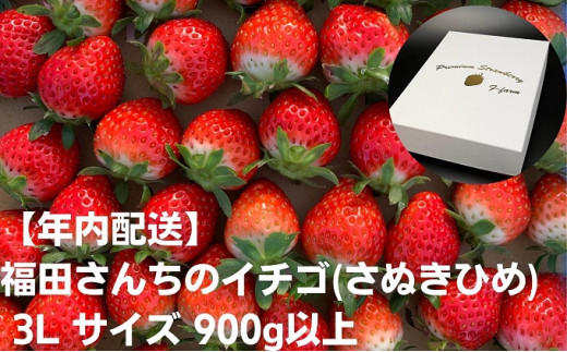 【年内配送】福田さんちのイチゴ(さぬきひめ)　3L サイズ 900g以上【配送不可：離島】苺 農園直送 いちご採れたて直送