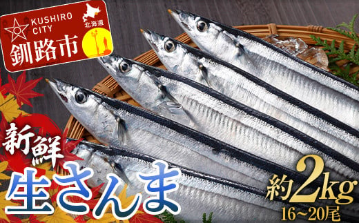 期間限定 新鮮 生 さんま 約2kg (16～20尾) 秋刀魚 鮮魚 魚 冷蔵 旬 刺身 F4F-3218 1057886 - 北海道釧路市