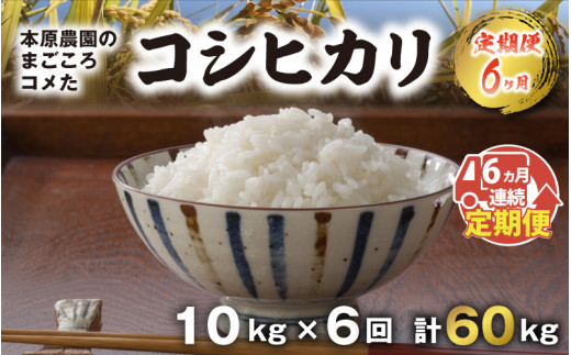 G-8902_01] 【令和5年産新米】【農家直送定期便 6ヶ月コース】【白米