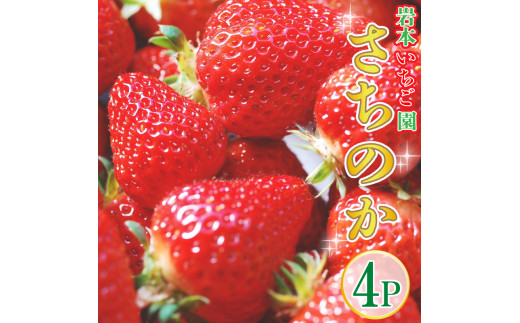 先行予約】いちご さちのか 約270g×4パック 約1kg以上 果物 フルーツ