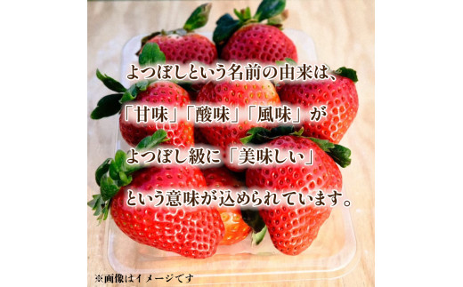 【先行予約】いちご よつぼし 約270g×4パック 約1kg以上 果物 フルーツ 土耕栽培 甘い 徳島県 阿波市 岩本いちご園