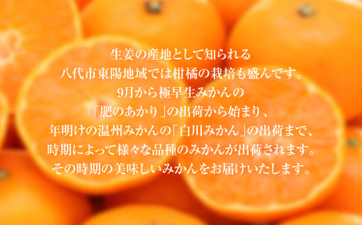 八代市東陽町産の季節のみかん5kg箱