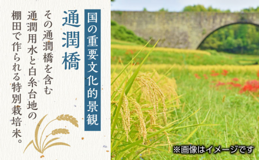 【全6回定期便】令和5年産 新米 通潤橋 水ものがたり 棚田米 10kg (2kg×5袋) お米 白糸台地 熊本産 特別栽培米 定期便【一般社団法人  山都町観光協会】[YAB031]|一般社団法人 山都町観光協会