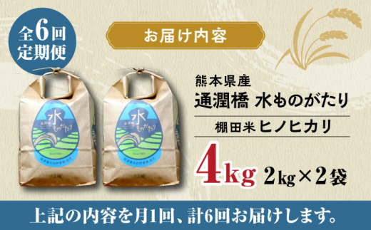 全6回定期便】令和5年産 新米 通潤橋 水ものがたり 棚田米 4kg (2kg×2