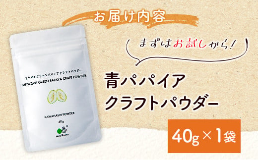 ［お試し］青パパイアパウダー（40g×1袋）皮なし粉末タイプ ポスト投函【P8】