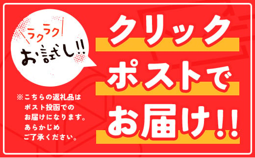 ［お試し］青パパイアパウダー（40g×1袋）皮なし粉末タイプ ポスト投函【P8】