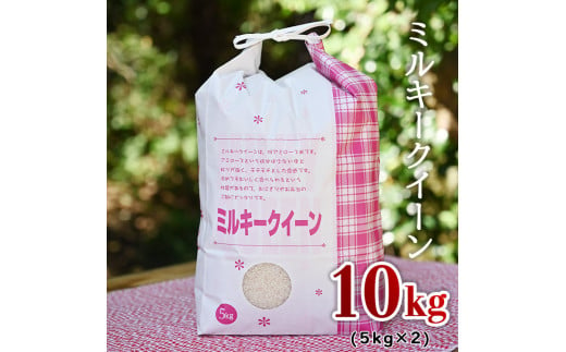 【数量限定】令和5年産　ミルキークイーン10kg（5kg×2）≪米 お米 白米 ご飯 栃木県産≫※2023年10月上旬から順次発送予定※着日指定不可 958216 - 栃木県さくら市