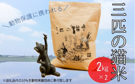 三匹の猫米/動物保護に携われる/特別栽培米 2kg×2 938649 - 埼玉県加須市