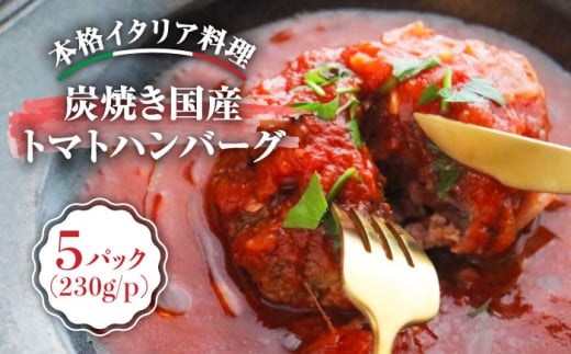 炭焼き国産ハンバーグ(トマトソース)230g×5個[PUNTO MARE]那珂川市 