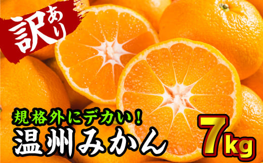 【訳あり】三重県産 どデカイ温州みかん　7kg　II-47 431994 - 三重県尾鷲市