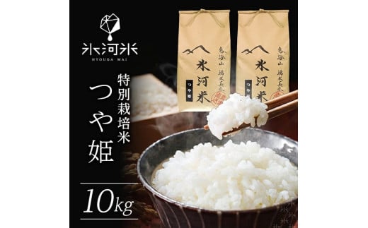 SB0398　令和5年産【精米】特別栽培米 つや姫　10kg(5kg×2袋)　農家直送『氷河米』 AG