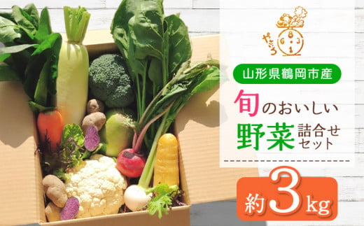 旬のおいしい野菜詰合せセット 約3kg　やさいろ 1057885 - 山形県鶴岡市