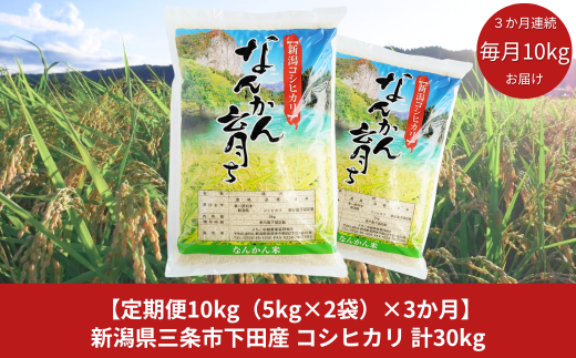 定期便10kg（5kg×2袋）×3ヶ月] 新米 コシヒカリ 新潟県三条市下田産