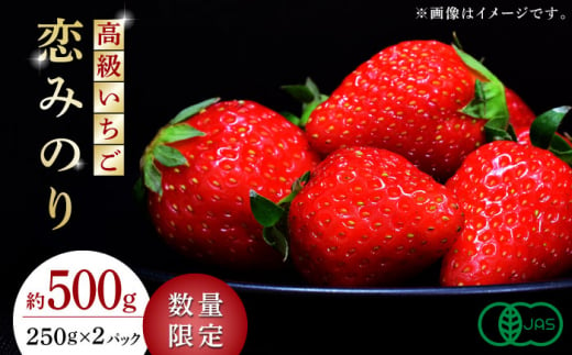 先行予約】【数量限定】 ひのしずく 約1kg 【くまふる】いちご 苺