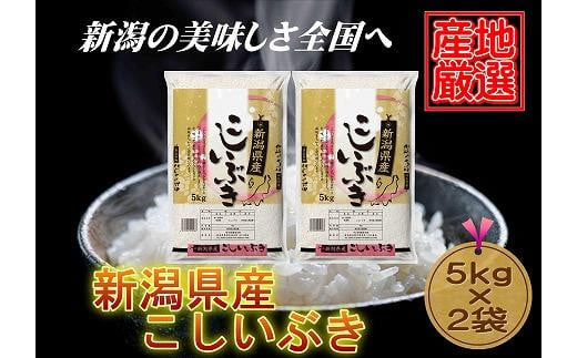 【産地厳選】新潟県産こしいぶき　5kg×2袋 1056599 - 新潟県新潟県庁