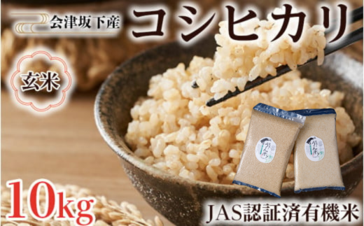 米/穀物ゆかさま専用　玄米　10キロ