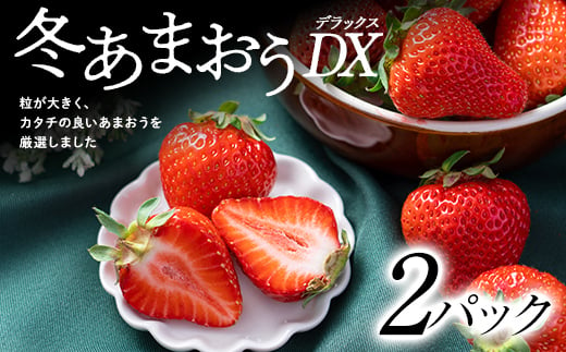  フルーツソムリエが選んだ＜冬＞ あまおうDX ( デラックス ) 2パック _ あまおう いちご 苺 イチゴ ギフト プレゼント 贈り物 送料無料 【1353643】 522528 - 福岡県大野城市