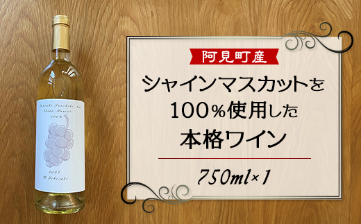 11-04 白 ワイン 100％ 国産 シャインマスカット 2022年醸造 H.Ichizaki 1057756 - 茨城県阿見町