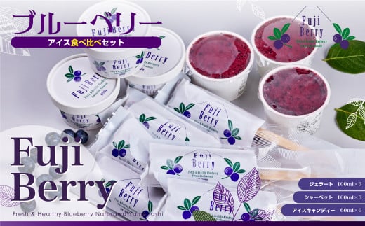 Fuji Berry ブルーベリーアイス食べ比べセット NSAA007 1057330 - 山梨県鳴沢村