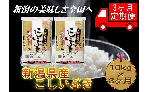 定期便3カ月連続お届け】新潟県産こしいぶき 5kg×2 1056600 - 新潟県