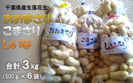 数量限定 】 井月農園の館山産生落花生おおまさり・こまさり（規格外