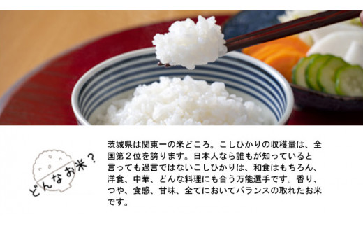 令和5年産 》 茨城県産 コシヒカリ 20kg ( 5kg × 4袋 ) 期間限定