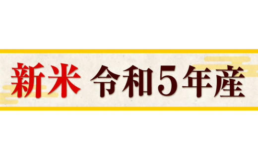 令和5年産 池田にんにく米 10kg (5kg×2袋) (紀の川市産きぬひかり