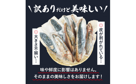 訳あり かつおのたたき 1.2kg 鰹 ネギトロ 150g×2袋 計1.5kg セット 不揃い 小分け 真空 パック 新鮮 天然 カツオ 冷凍 大容量  マルコ水産