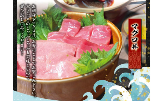 本マグロ（養殖）トロ＆赤身セット 240g 【1か月以内に発送】高級