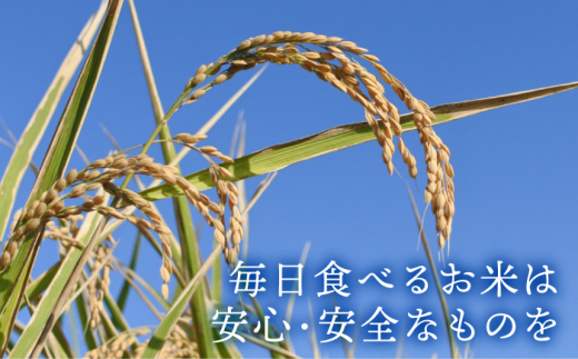 【 栽培期間中 農薬不使用 】令和5年産 こだわりの玄米 夢しずく 玄米