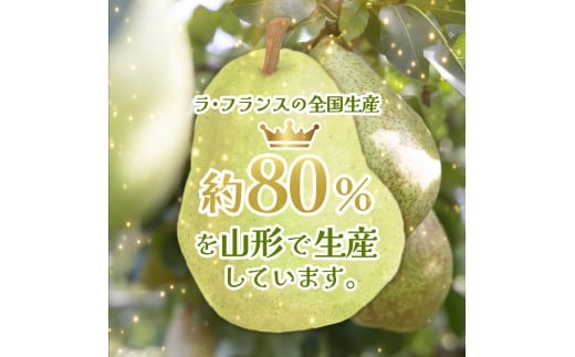 山形県東根市のふるさと納税 【2024年産 先行予約】 洋なし「ラ・フランス」5kg JA提供　hi003-109