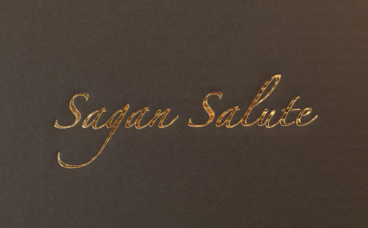Sagan Salute――佐賀の祝砲