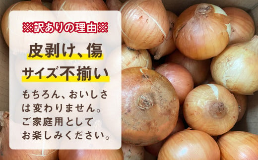 先行予約】玉ねぎ 10kg（37〜42個） 訳あり M L サイズ 不揃い